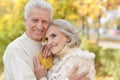 Beautiful senior couple embracing in the park Royalty Free Stock Photo