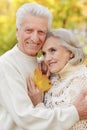 Beautiful senior couple embracing in the park Royalty Free Stock Photo