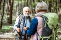 Senior couple hiking in the forest Royalty Free Stock Photo