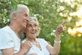 Beautiful senior couple hugging in the park Royalty Free Stock Photo