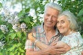 Portrait of beautiful senior couple hugging in the park by lilacs Royalty Free Stock Photo