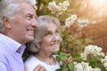 Beautiful senior couple by lilacs in the park Royalty Free Stock Photo