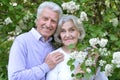 Beautiful senior couple by lilacs in the park Royalty Free Stock Photo