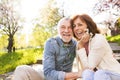 Beautiful senior couple in love outside in spring nature. Royalty Free Stock Photo