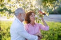 Beautiful senior couple in love outside in spring nature. Royalty Free Stock Photo