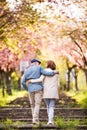 Beautiful senior couple in love outside in spring nature. Royalty Free Stock Photo