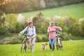 Beautiful senior couple with bicycles and dog outside in spring nature. Royalty Free Stock Photo