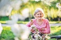 Beautiful senior woman with bicycle outside in spring nature. Royalty Free Stock Photo