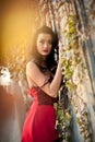 Beautiful sensual woman in red dress posing in autumnal park. Young brunette woman daydreaming near a wall with rusty leaves Royalty Free Stock Photo