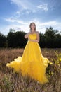 Beautiful and sensual young caucasian woman wearing a yellow evening dress outside in a natural setting over a heather Royalty Free Stock Photo