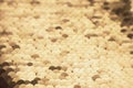 Beautiful sequins texture surface as background Royalty Free Stock Photo