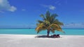 Beautiful serene beach. Pure white sand, two deck chairs in the shade of a palm tree.