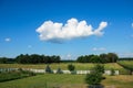 serene panorama of a rural landscape with a white fence, green grass, verdant trees