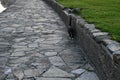 A beautiful and serene quiet pathway featuring a lovely cat alongside a charming stone wall Royalty Free Stock Photo
