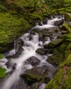 Beautiful serene waterfall cascading through lush green foliage. Ceunant Mawr Waterfall in North Wales