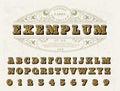 Beautiful set of capital letters, vintage Victorian style font with a floral ornament. For your logos, monograms, labels