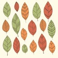 Beautiful set of doodle vintage leaves. Isolated sketch. for design background greeting cards and invitations to the wedding, birt