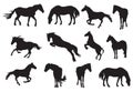 Beautiful set of horse silhouettes collection vector shapes illustration Royalty Free Stock Photo