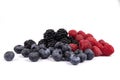 Beautiful set of red raspberries, blue blueberries and black shiny blackberries Royalty Free Stock Photo