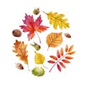 Watercolor fall leaves set