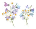 Beautiful set with watercolor gentle summer bluebell and chamomile floral bouquets. Stock illustration.