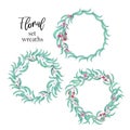 Beautiful set of wreaths with the branches of the eucalyptus.