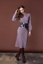 Beautiful brunette woman business office style fashion clot Royalty Free Stock Photo