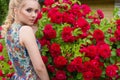 Beautiful gentle elegant woman with white hair with beautiful hair in sundress standing in the garden near a big bush of red