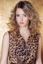 Beautiful girl in leopard dress in bright makeup in the Studio on a gold background Royalty Free Stock Photo