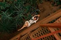 Beautiful sexy girl with multi-colored dreadlocks in a white dress lies on the ground under an orange staircase among the plants.