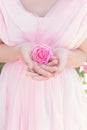 Beautiful girl in a pink dress, standing in the garden on a sunny bright summer day holds a rose in hands Royalty Free Stock Photo