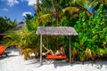 Beautiful sexy tanned woman in bikini on Maldives island. Young glamour girl in swimsuit on Maldives beach. Perfect body bikini Royalty Free Stock Photo