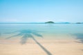 Beautiful shadow of palm tree on the blue sea in summer. Relaxation tropical seascape. Sunshine day. Koh Mak Island, Trat,