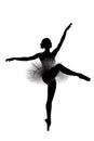 Beautiful shadow silhouette of ballerina 7