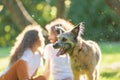 Beautiful shaggy dog in the summer park on the background of a pair of their owners