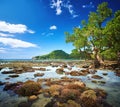Beautiful shallow sea with coral reef and green island on the ho