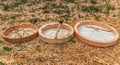 Beautiful shaman drum in nature.