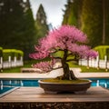 Beautiful bonsai plant in a pot - ai generated image