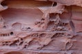 The beautiful shapes caused by erosion in canyon Salama in Sinai