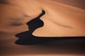 The beautiful shapes of desert