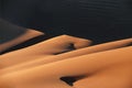 The beautiful shapes of desert