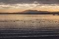 Beautiful and sharp water ripples on Trasimeno lake Umbria, Italy at sunset, with ducks and distant hills