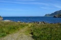 Beautiful sheep grazing near blue summer ocean Royalty Free Stock Photo