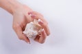 Beautiful shell in a female hand. Royalty Free Stock Photo