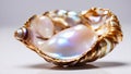 Beautiful shell pearls a background luxury present glamor expensive