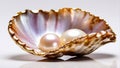 Beautiful shell pearls a light background luxury present glamor expensive