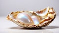 Beautiful shell pearls a luxury present glamor expensive element