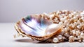Beautiful shell pearls a present glamor expensive element Royalty Free Stock Photo