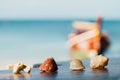 Beautiful shells lie on table on background blue sea. Shells mollusks and corals Royalty Free Stock Photo