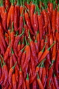 Beautiful shining red cayenne pepper